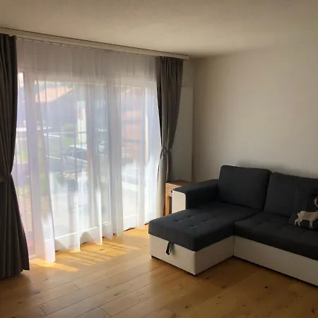Daire Renovated 3 In Near Laax Ruschein