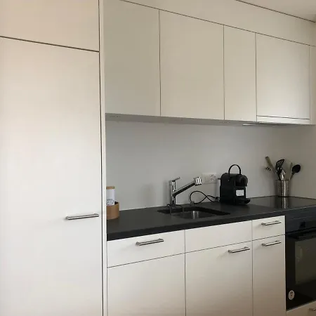 Renovated 3 In Near Laax Ruschein