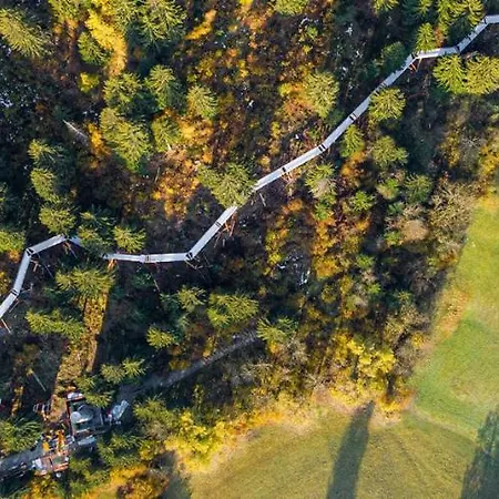 Renovated 3 In Near Laax * Ruschein