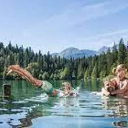 Renovated 3 5 R In Near Laax Flims