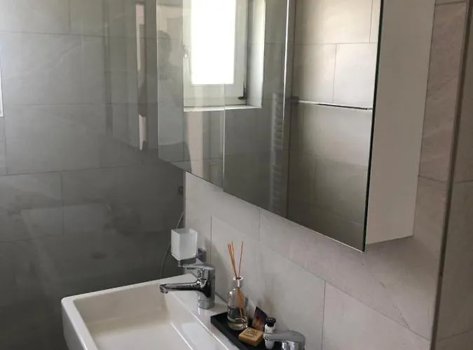 Daire Renovated 3 In Near Laax