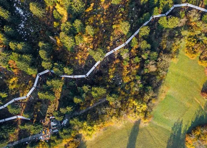 Renovated 3 In Near Laax * Ruschein