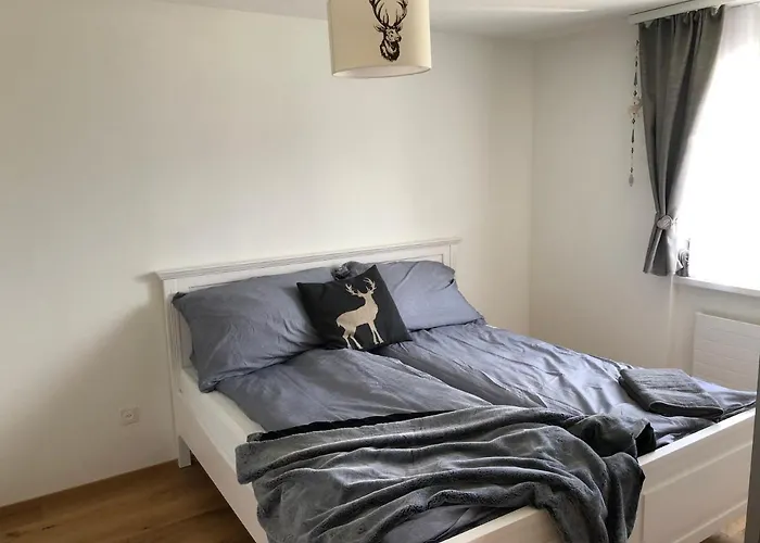 Renovated 3 In Near Laax Daire *