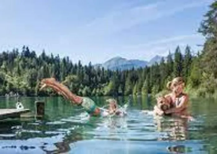 Renovated 3 In Near Laax